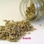 Aniseed Anise Herb Seed Anethum Whole Seeds Spice Pimpinella anisum