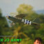 Piper J-3 ARMY 680MM. 6Gyro