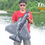 North Star RC Plane เครื่องบินน้ำบังคับ จรวดเวหา สเทิร์นน้ำสเทริ์นบก